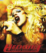 Hedwig and the Angry Inch ©DR