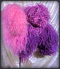 maisonfevrier Des plumes de la Maison Février ©DR
