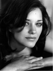 marioncotillard